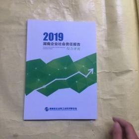 2019湖南企业社会责任报告 综合评析