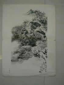 李苦禅画辑（1 哺鹰图）