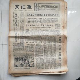 老报纸 1976年 27份合售 包老包真