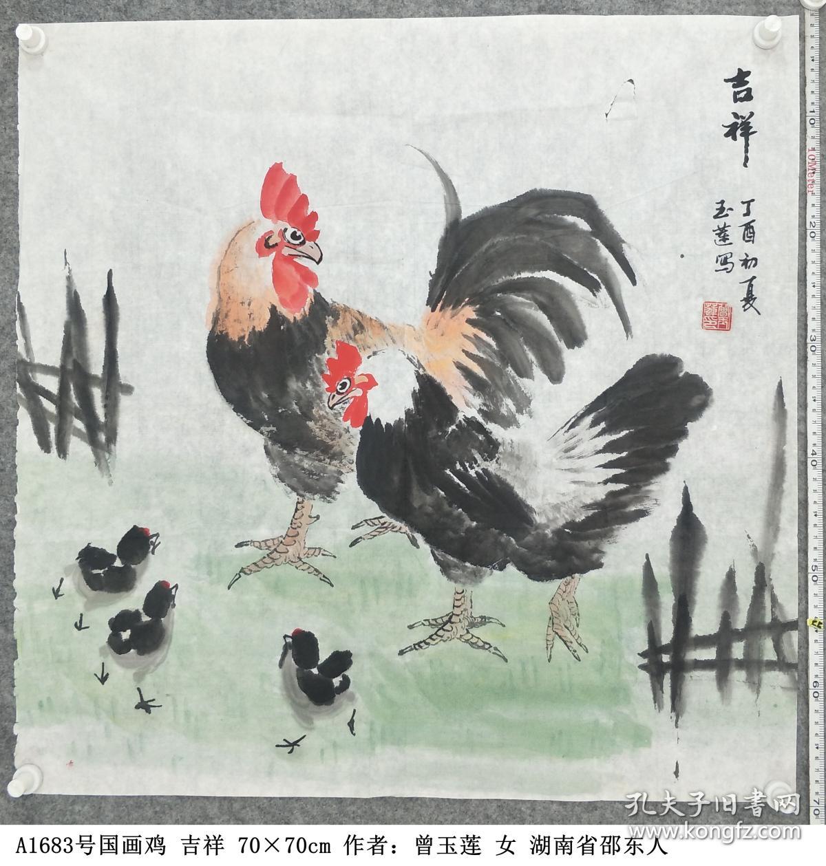 A1683号国画鸡 吉祥 70×70cm 作者：曾玉莲 女 湖南省邵东人 现为湖南省老年书画学会会员 涟钢老年书画协会会员 第五届全国中老年书画创作交流研讨会入围