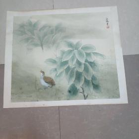 著名成都画家 国家一级美术师 江溶 工笔国画 长59宽51 终身保真