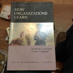 How Organizations Learn