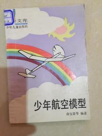 少年航空模型