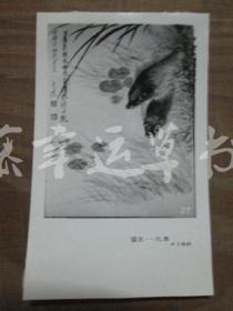 黑白照片一张：国画——花鸟（张善子 绘画）双鱼