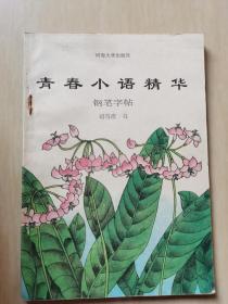 青春小语精华钢笔字帖