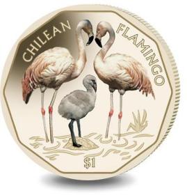 英属维尔京群岛1元 2019年 智利火烈鸟 彩色纪念币