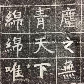 唐 毛府君 志石拓片