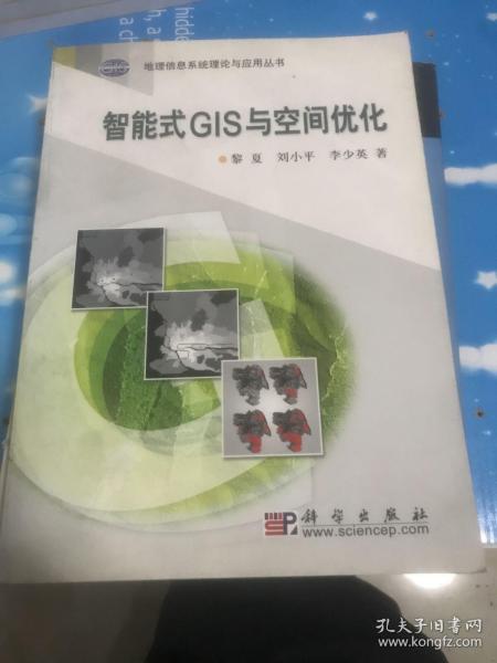 智能式GIS与空间优化