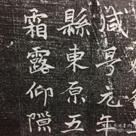 唐 赵长卿 志石拓本片