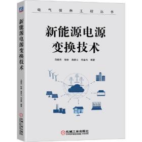 新能源电源变换技术/电气信息工程丛书