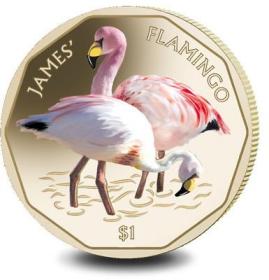 英属维尔京群岛1元 2019年 安第斯火烈鸟 彩色纪念币