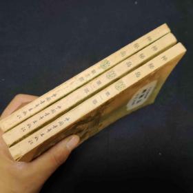 神秘岛 全三册