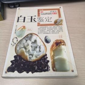 白玉投资完全手册