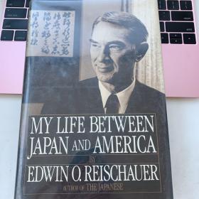 My Life between Japan and America