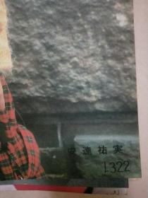 4开压膜海报：90年代明星 安达佑实
