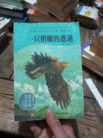 动物小说大王沈石溪：一只猎雕的遭遇