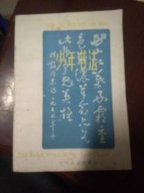 少年书法