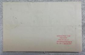 猪年首日实寄封-猪场戳--挂号--pJ袋