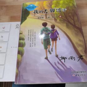 中国当代儿童小说名家自选集--我的左脚哥哥（那一年的青春细雨，聆听郁雨君唯美青春絮语。）
