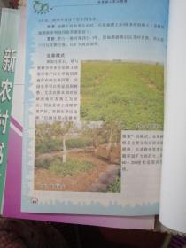 新农村书系：  金苹果丛书种植养殖系列：   苹果花果管理技术：  苹果病虫害综合防治：   苹果树现代整形修剪技术：  苹果园士肥水管理      共四册