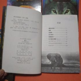 沈石溪 动物小说鉴赏： 狼王 象王 豺王 鹰王 月光森林5本合售（一版一印）