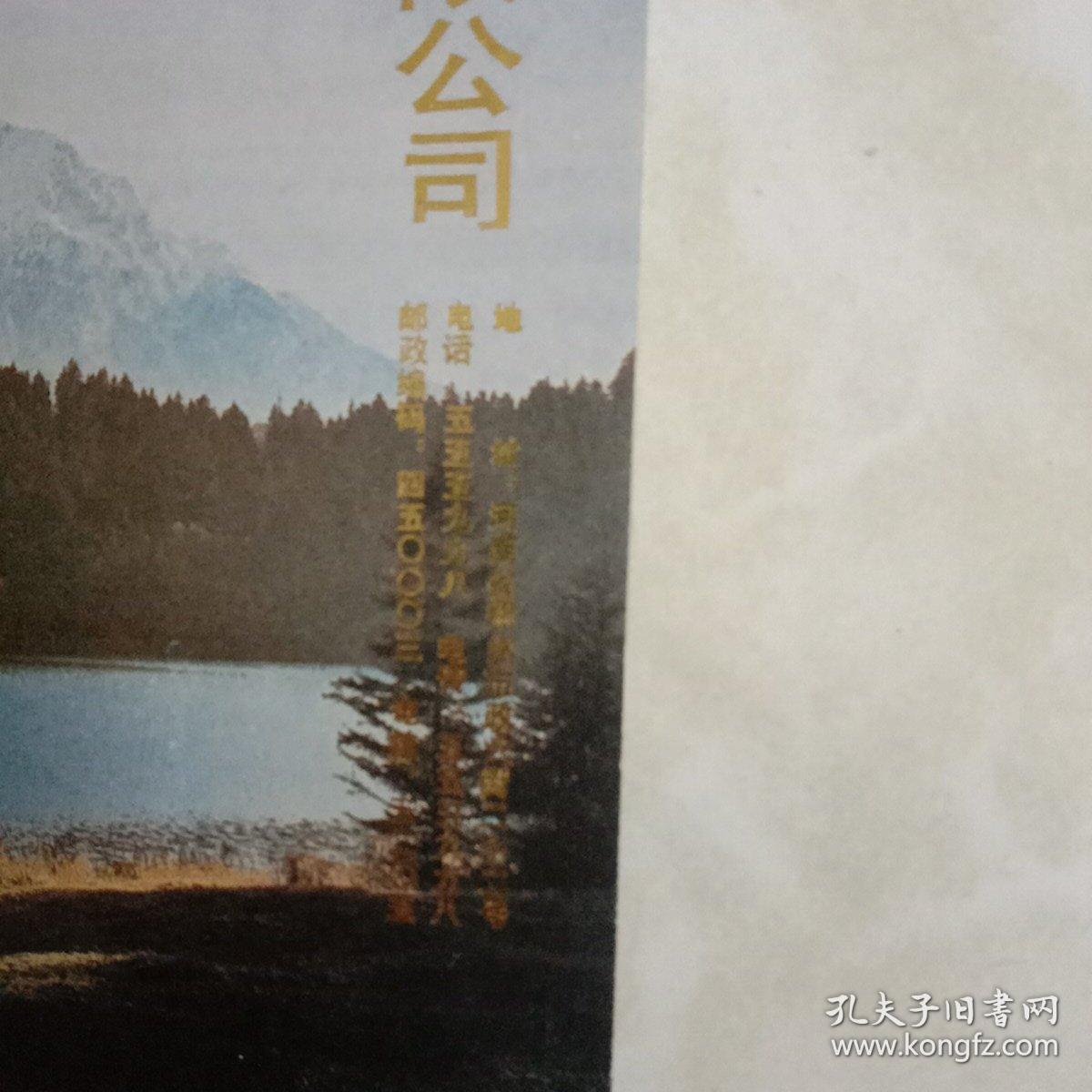 小画片——1991年《电测与仪表》杂志出刊300期河南思达电子有限公司赠画页