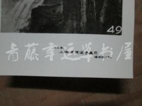 黑白照片一张：花木（1982年上海画院迎春画展）吴玉梅 绘画