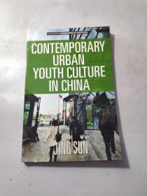 Contemporary  Urban Youth Culture  in China