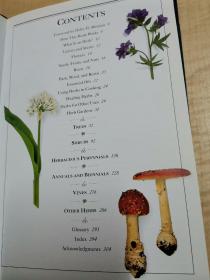 Smithsonian Handbooks Herbs