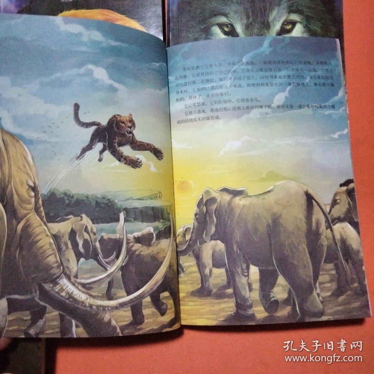 沈石溪 动物小说鉴赏： 狼王 象王 豺王 鹰王 月光森林5本合售（一版一印）