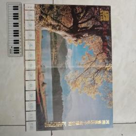 小画片——1991年《电测与仪表》杂志出刊300期河南思达电子有限公司赠画页