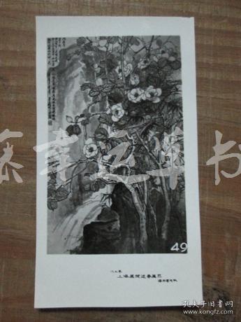 黑白照片一张：花木（1982年上海画院迎春画展）吴玉梅 绘画