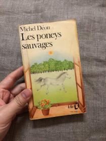 Les poneys sauvages 小种野马【《一辆淡紫色出租车》作者、法兰西学院大奖得主 米歇尔·代翁 作品，法文版】小开本