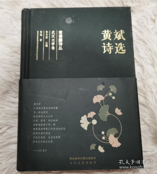 常春藤诗丛：黄斌诗选