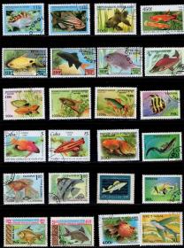 最新配置 鱼类动物专题邮票50枚不重复盖销票外国邮票集邮收藏