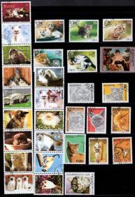 最新配置 世界名猫专题邮票50枚不重复盖销票外国邮票集邮收藏