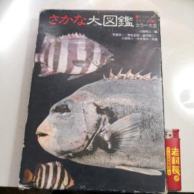 鱼大图鉴（日文原版）
