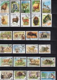 最新配置 野生动物专题邮票50枚不重复盖销票外国邮票集邮收藏