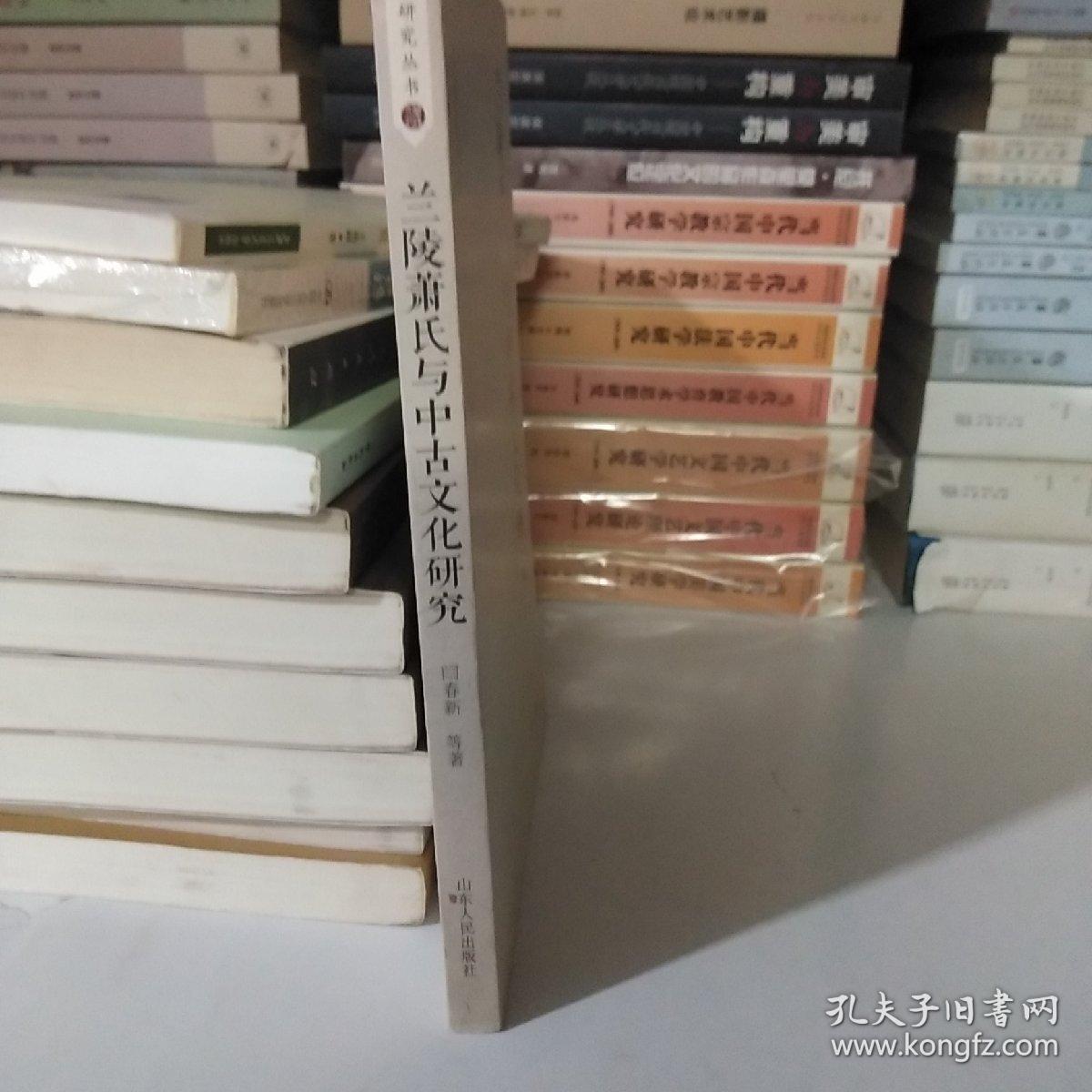 兰陵文化研究丛书：兰陵萧氏与中古文化研究【一版一印】