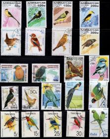最新配置 鸟类动物专题邮票50枚不重复盖销票外国邮票集邮收藏