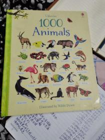 1000Animals