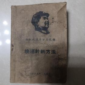 快速针刺方法  附：手针穴位示意模型说明