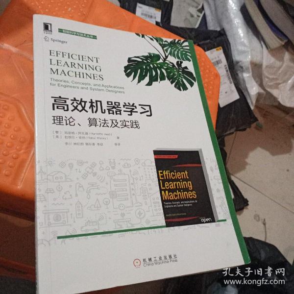 高效机器学习：理论、算法及实践