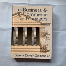 e-Business and e-Commerce for Managers (精装)