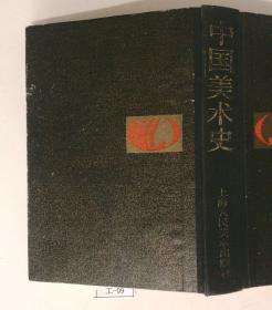 中国美术史（目录页有印章和铅笔下划线，已经拍照，有意者慎拍）