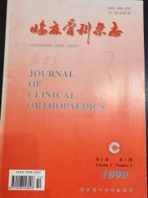 临床骨科杂志     1999   3