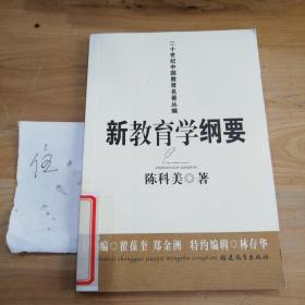 新教育学纲要（陈科美）——二十世纪中国教育名著丛编