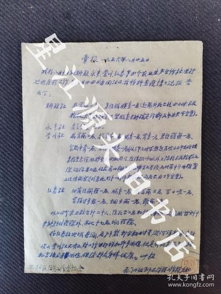 1956年八月安徽省歙县王村区石门小组狮石防疫工作程九如汇报一张，竹纸复写。