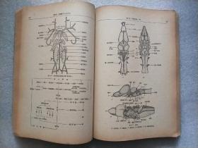 高等学校交流讲义：脊椎动物学 修订本 1962年印