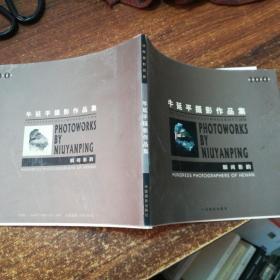 瞬间影韵牛延平摄影作品集